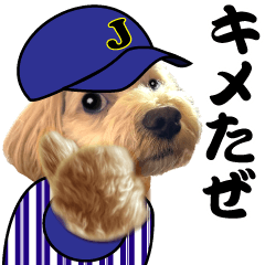 野球実況犬のマルちゃん(実写）