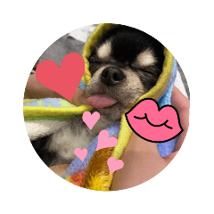 hikari_20230304225312