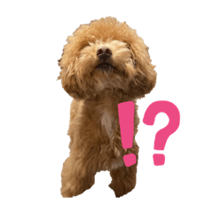 mizuki_20230304170102