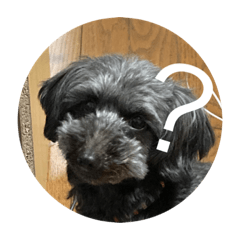 ryuki_20230305001955