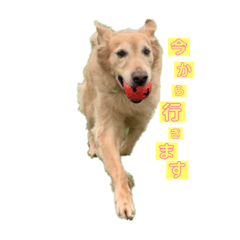 nao_20230305114202