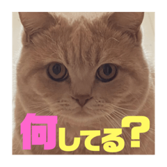 aooni_20230305113658