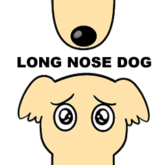 Long nose Dog