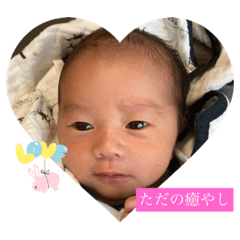 koto_20230305142209