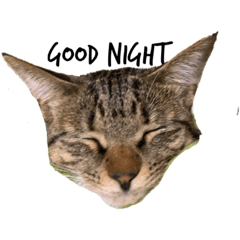 CALME