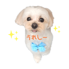 MISA_20230305144604
