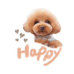 yuka_20230305145230