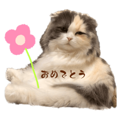 momoko_20230304204520