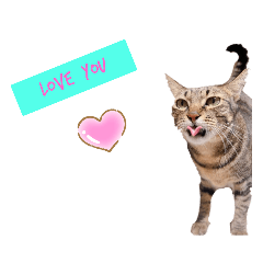 amberly_20230305134931 – LINE stickers | LINE STORE