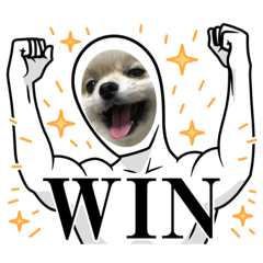 nozomi_20230305104732