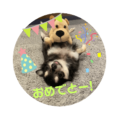 hikari_20230305175405