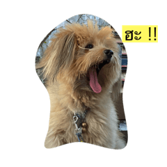 I-KimJi