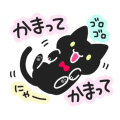 CHIAKI_20230305_Needy_Black_Cat