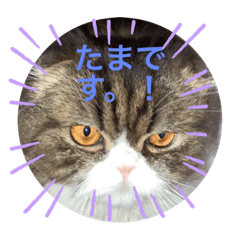 wwwww_20230305204756