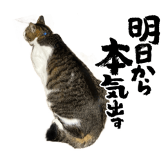 MIZUKI_20230305191648