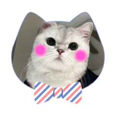 Earlgray cute little cats stickers