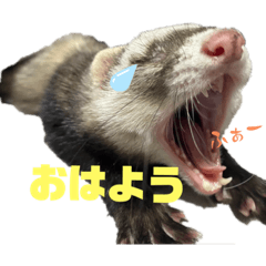 Hikari_20230306072731