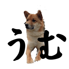 nao_20230306091721