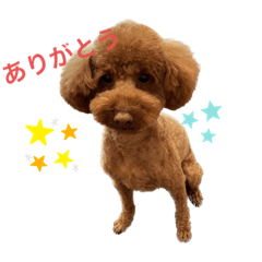 yukari_20230305214117