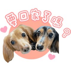 三個小寶貝！