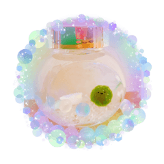 HIKARI_20230305183727