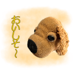 Hana_20230305194238