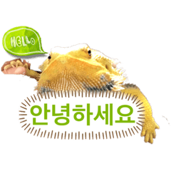 saori_20230304111153