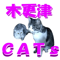 Kisarazu Cats