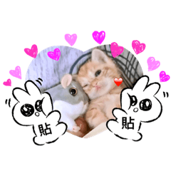 ZOU TING PEI_20230306044956 – LINE stickers | LINE STORE