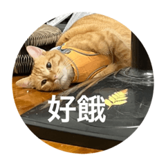 廢物生活圈