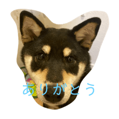 Yuto_20230306172833