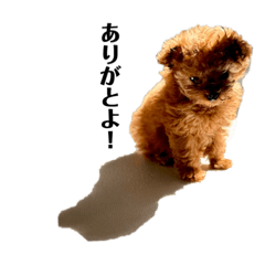 riechi_20230307070739