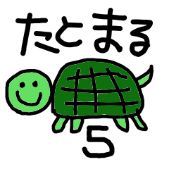 with turtle life5