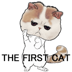 THE FIRST CAT