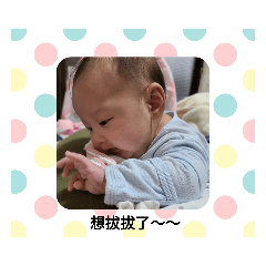 芝麻叮嚀哲爸語錄