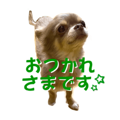 nao_eiennonijuudai