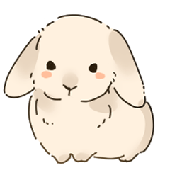 Chacha, a lean-eared rabbit.