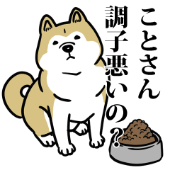 ことリスペクト（プラチナ）