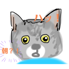 yukari_20230306230358