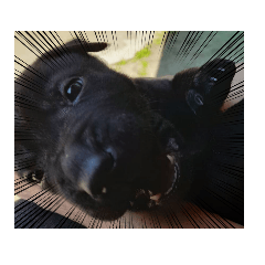 熊熊(⁎⁍̴̛ᴗ⁍̴̛⁎)