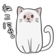 various kinds of neko