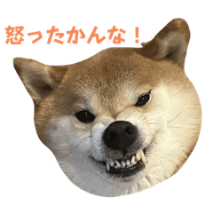 Yuka_20230306230800