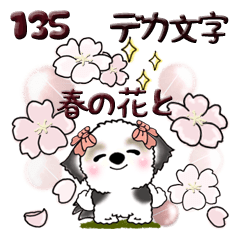 シーズー犬 135『春の花＆大きめ文字』