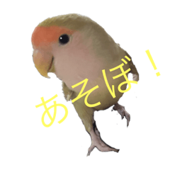 Nao_20230306224846