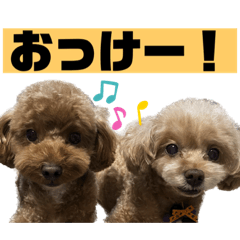 kana_20230307150653