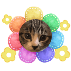 hiyori_20230307152029