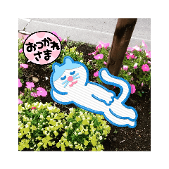 sakura_20230307153235