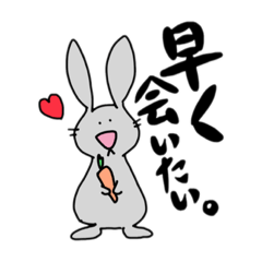 Rabbit in a long-distance relationship