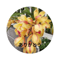 fusae_20230308091320