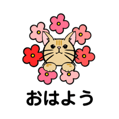 猫の会話(花畑②)